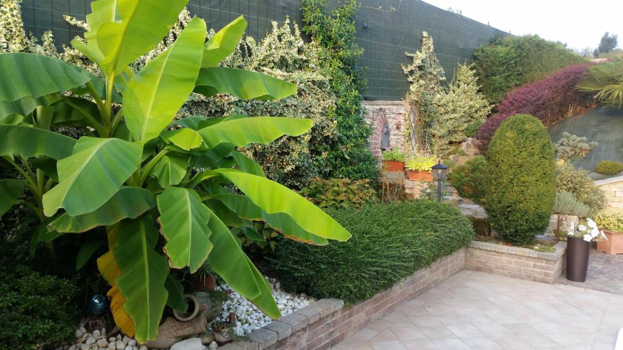 Villa Laura B&B フォッサーノ エクステリア 写真